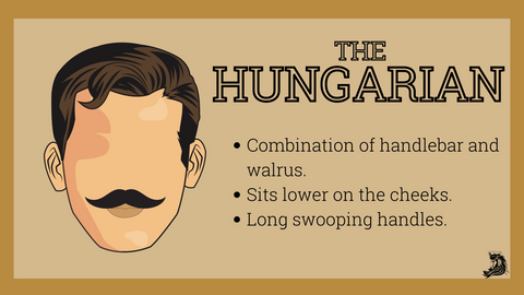 Hungarian Mustache Style
