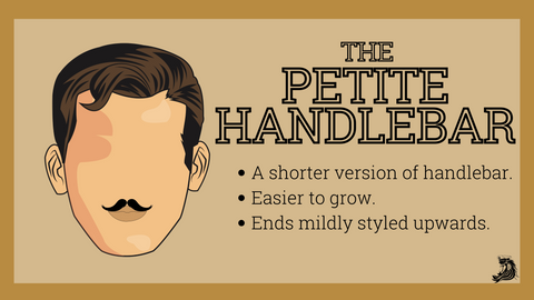 Petite Handlebar Mustache Style
